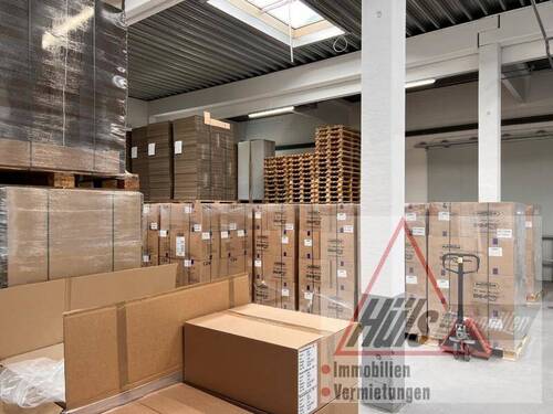 Lager - Halle in Lienen