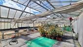 Gewächshaus (3) - 