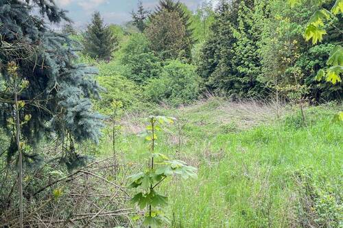 Grundstücksansicht - Grundstück in Wettin-Löbejün