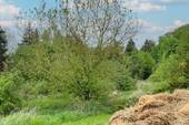 Grundstücksansicht (2) - 
