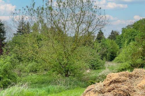 Grundstücksansicht (2) - 