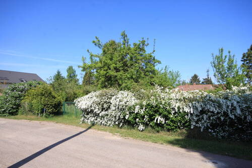 Straße - Grundstück in Brieselang