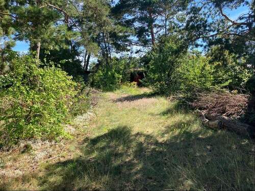 Blick aufs Grundstück - Grundstück zum Kaufen in Fredersdorf-Vogelsdorf