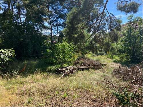 Grundstücksansicht - Grundstück in Fredersdorf-Vogelsdorf zum Kaufen