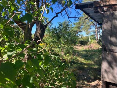 Grundstücksblick zur Strasse - 