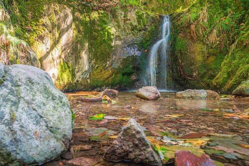 Wanderregion Wutachschlucht in Löffingen - 
