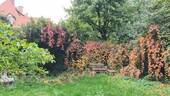 Gemeinschaftsgarten - 