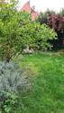 Gemeinschaftsgarten - 