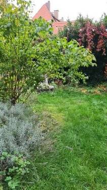 Gemeinschaftsgarten - 