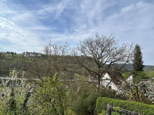 Ausblick - 