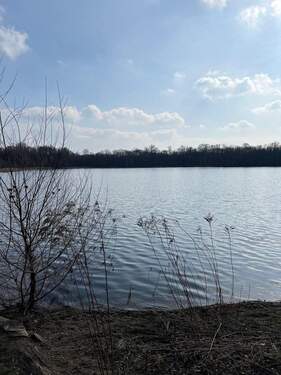Umgebung Nymphensee - 