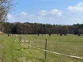 Umgebung Pferdekoppel - 