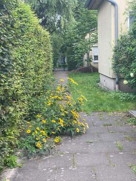 Grundstück - 