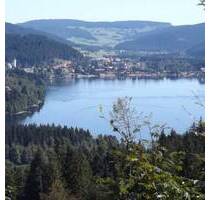 3-Zi. Wohnung Titisee - 1.100,00&nbsp;EUR Kaltmiete, ca.&nbsp; 103,00&nbsp;m&sup2;&nbsp;Wohnfl&auml;che in Titisee-Neustadt (PLZ: 79822)