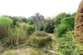 Garten mit Teich - 