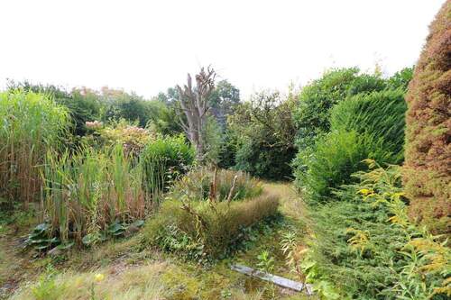 Garten mit Teich - 