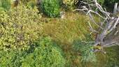 Drohne_Gartenblick - 