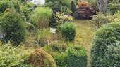 Drohne_hinterer Garten - 