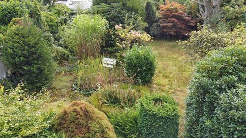 Drohne_hinterer Garten - 