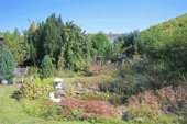 Teich mit Wasserlauf - 