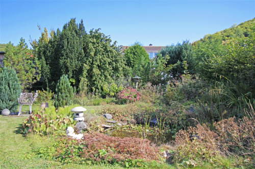 Teich mit Wasserlauf - 
