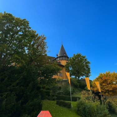 Blick Wohn-/Schlafzimmer - 