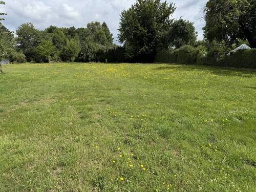Bild 11 - 