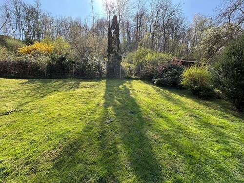 Garten - 4 Zimmer Einfamilienhaus in Trier