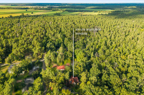 Drohne - 7 Zimmer Einfamilienhaus zum Kaufen in Falkensee