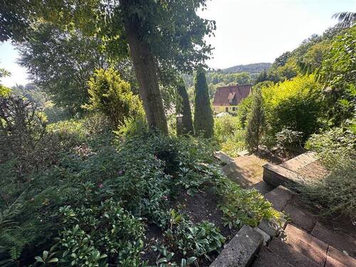 Impressionen des Grundstücks - 