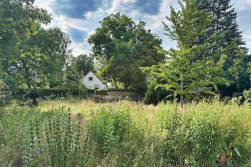 hinterer Grundstücksteil - Ansprechendes Wohnbaugrundstück in guter Lage in Mahlsdorf-Nord