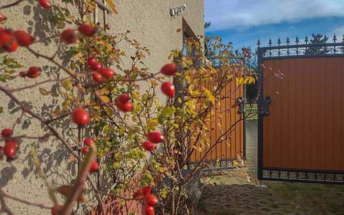 Eingangsbereich außen - Bauernhaus, Landhaus mit 107,00 m&sup2; in Schleife zum Kaufen