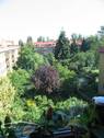 Gartenaussicht - 2 Zimmer Etagenwohnung zum Kaufen in Berlin