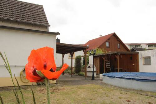 Garten - 