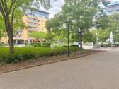 Pocket Park - 