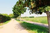Umfeld - 