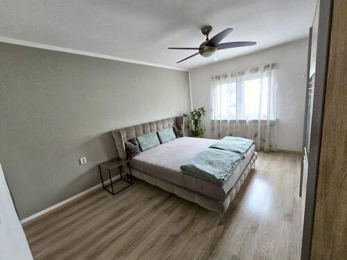 dfe78567-2243-4be5-8707-5dcaf7f49524.jpeg - 