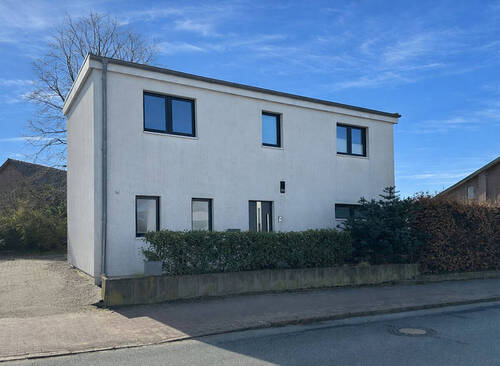 Außenansicht - Modernes Einfamilienhaus mit Kamin