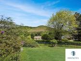 Blick in die Weinberge - 