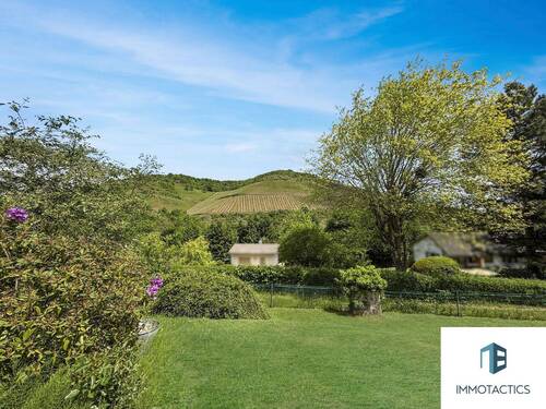 Blick in die Weinberge - 