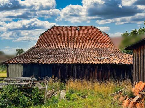 Schuppen Dach - 