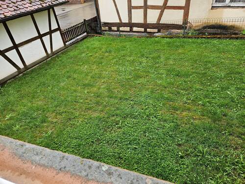 20240517_110307.jpg - 