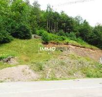 Baugrundstück in sehr guten Lage von Todtmoos zu verkaufen!!