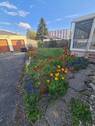 Garten hinten - 