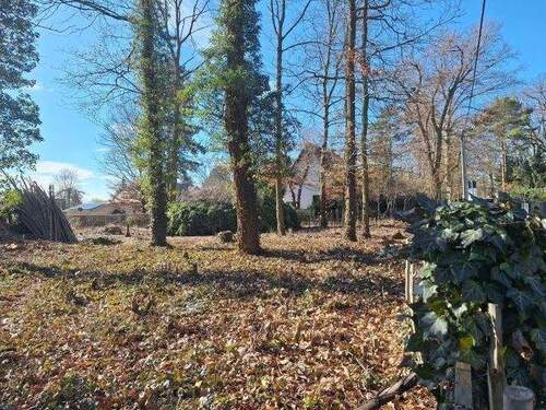 Vogelgezwitscher zum Frühstück - Natur. Ruhe. Freiheit. Ihr Bauland in Machern.