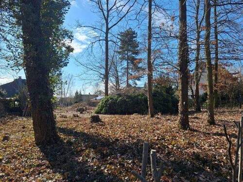 Natur pur - Grundstück in Machern