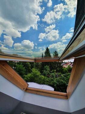 Sonstiges - 