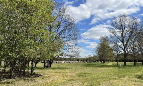 Die Nemitzer Heide vor der Tür - 'Landleben deluxe im Wendland'- Historische Hofstelle an der Nemitzer Heide'
