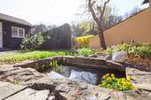 Garten mit Teich - 