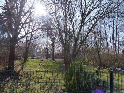 Blick zum Grundstück von der Straße B.2 - 